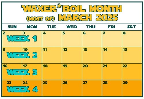 wbmonth2025-calendarwip01s.jpg